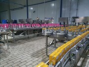 فعالیت شرکت پگاه آذربایجان‌غربی با یک سوم ظرفیت / خط تولید شیر خشک در ارومیه راه‌اندازی می‌شود