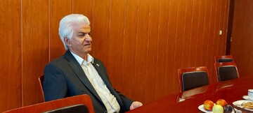 شناسایی متهم اصلی افزایش قیمت خودرو/ نجفی‌منش: اصلا قیمت‌ها عجیب بالا نرفته است