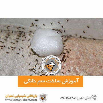 آموزش ساخت سم قوی خانگی برای حشرات موذی