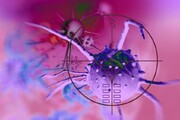 از بین بردن سلول‌های سرطانی با کمک کرم‌های بسیار کوچک/ کشف جدید دانشمندان ژاپنی 