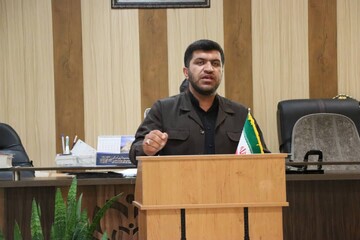 اقدامات جمع‌آوری سگ‌های بلاصاحب کافی نیست