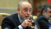او « احتمالاً در آستانه دادگاهی شدن است» / واکنش تند روزنامه ارگان دولت به انتقاد اخیر صالحی