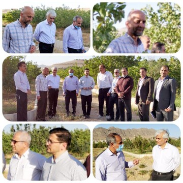 اجرای ۵ طرح مصوب در باغ گیاه شناسی زاگرس/ وجود ۲۰۰۰ گونه گیاهی در لرستان   اجرای ۵ طرح مصوب در باغ گیاه شناسی زاگرس/ وجود ۲۰۰۰ گونه گیاهی در لرستان