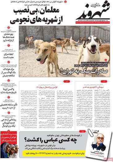 روزنامه
