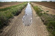 زنگ خطر فائو ، بیخ گوش ایرانیان / مصرف آب کشاورزی ایران ۳ برابر میانگین جهانی است