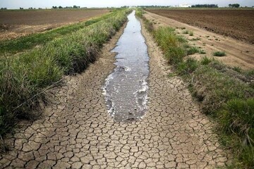 زنگ خطر فائو ، بیخ گوش ایرانیان / مصرف آب کشاورزی ایران ۳ برابر میانگین جهانی است