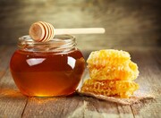 قیمت انواع عسل در بازار/ عسل نیم میلیونی شد + جدول