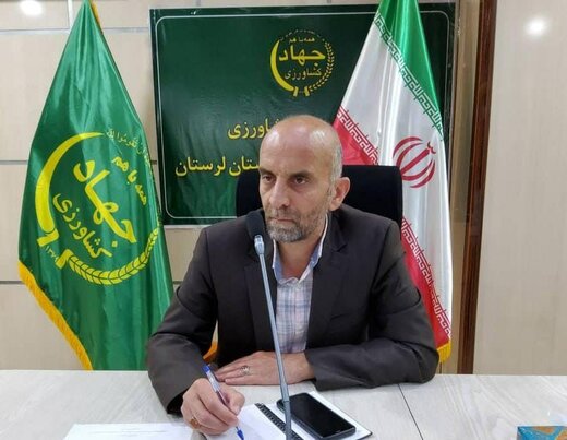 توزیع ۸۴۰۰ تن کنسانتره به دامداران لرستانی 