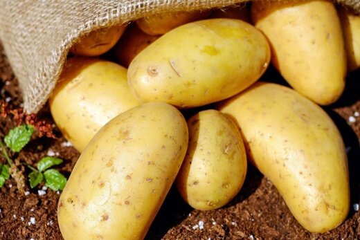 ترکیب دوست داشتنی غذای محبوب ارزان شد