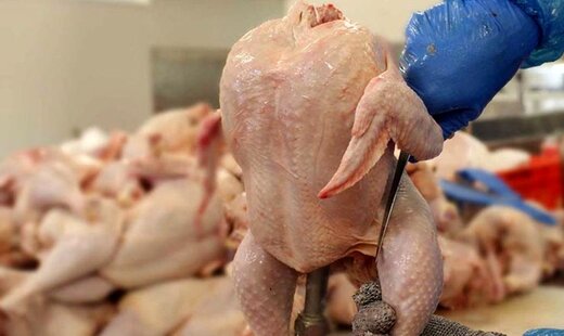 قیمت جدید مرغ اعلام شد/ گوشت مرغ را از این نرخ بالاتر نخرید