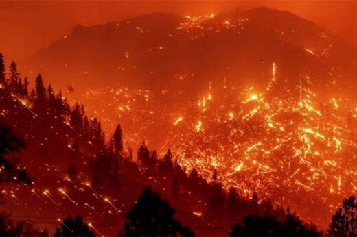 ببینید | آتش‌سوزی هولناک در جنگل‌های الجزایر/ ۲۶ نفر کشته شدند