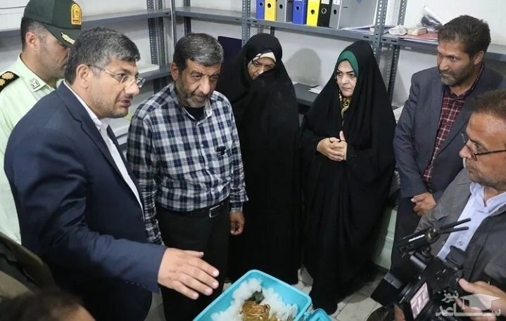 نگهداری جام زرین باستانی مشگین شهر در ظرف پلاستیکی/ تصاویر