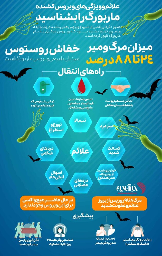 اینفوگرافیک | علائم و ویژگیهای ویروس کشنده «ماربورگ» را بشناسید