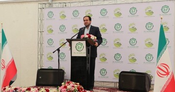 واحدهای کشت و صنعت، تکمیل‌کننده زنجیره تولید باشند