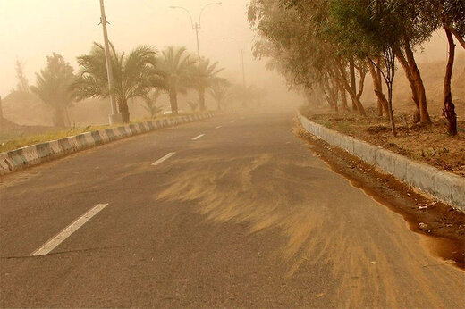 طوفان به منطقه حفاظتشده شیمبار خسارت وارد کرد طوفان به منطقه حفاظتشده شیمبار خسارت وارد کرد