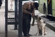 ببینید | سخاوتمندی بزرگ پیرمرد فقیر در شیراز؛ تقسیم غذا با سگ گرسنه