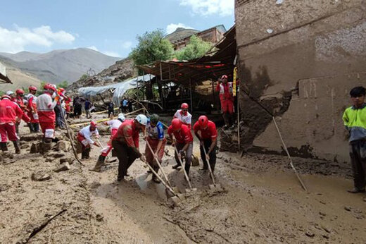 ببینید | بلایی سر سگ‌های زنده‌یاد در سیل امام‌زاده داوود آمد