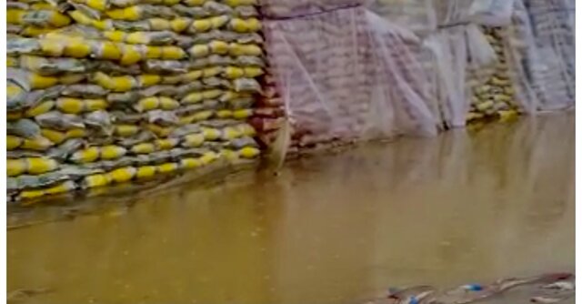 ۳۰۰ تن برنج‌ باران‌زده از بین می رود؟/گمرک به وزارت صمت نامه زد
