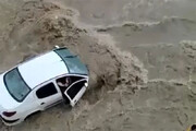 ببینید | جیغ و فریادهای شهروندان یاسوج؛ سیل ماشین‌ها را برد