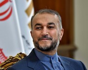 أمير عبداللهيان: وزارة الخارجية تسعى لإطلاق سراح الحاج الإيراني