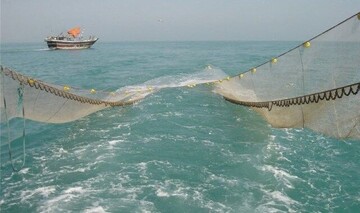 ممنوعیت تورکشی و صید در محدوده ۲ مایلی اطراف کیش ممنوعیت تورکشی و صید در محدوده ۲ مایلی اطراف کیش