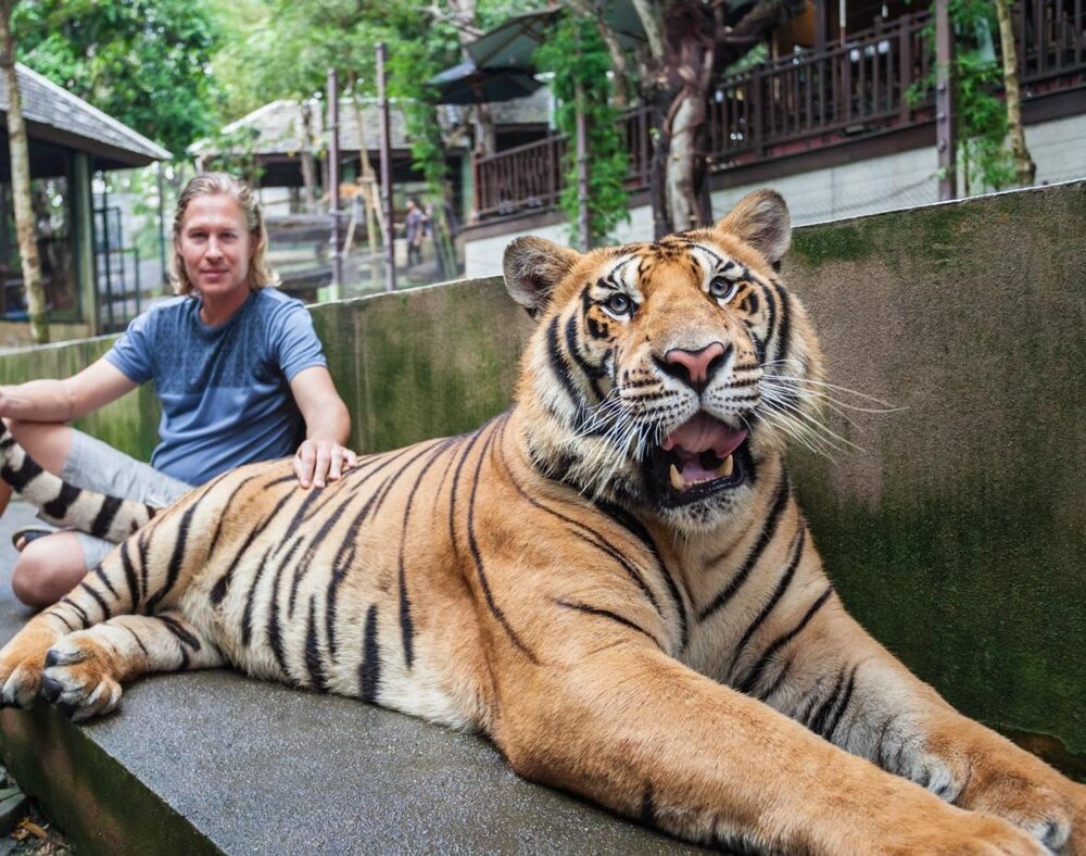 بازدید از بزرگترین باغ وحش های دنیا را از دست ندهید