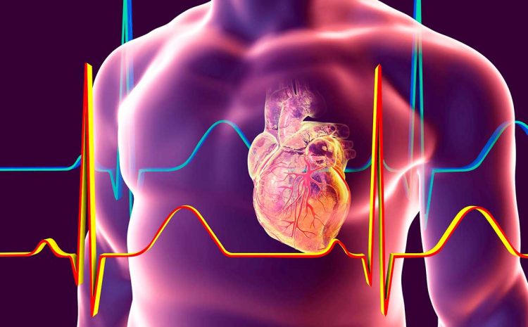 اولین بازنویسی دیانای برای درمان بیماریهای ژنتیکی قلب