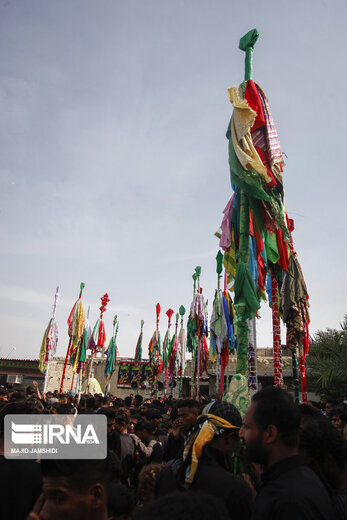 مراسم سنتی علم گردانی در میناب