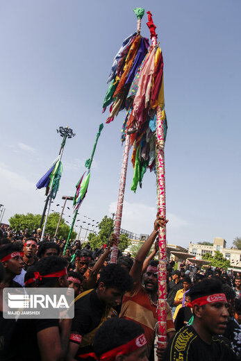مراسم سنتی علم گردانی در میناب