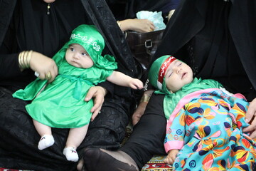 همایش شیرخوارگان حسینی در هرمزگان برگزار شد همایش شیرخوارگان حسینی در هرمزگان برگزار شد