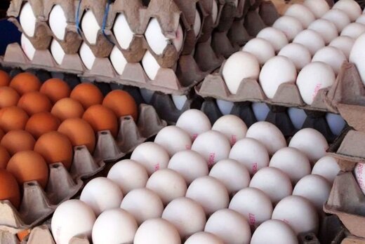 اختلاف قیمت مصوب تخم مرغ با نرخ فروش / یک شانه تخم مرغ چقدر است؟