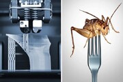 چاپ سه بعدی "حشرات" برای نجات از بحران غذایی!