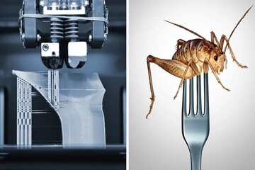چاپ سه بعدی "حشرات" برای نجات از بحران غذایی!