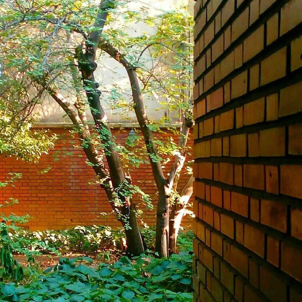 پیام تسلیت خواندنی به مناسبت درگذشت هوشنگ ابتهاج 3