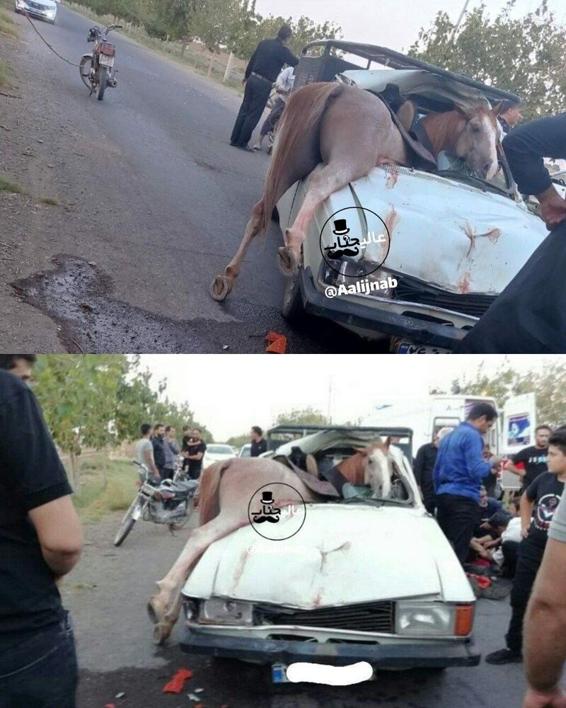 عکس | تصادف هولناک اسب با پیکان؛ مصدومیت ۶ نفر