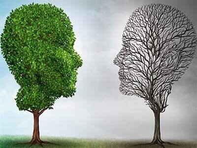 پزشکیان : دوقطبی های کاذب می سازند چون همیشه پروژه خراب کن بوده اند و ساختن نیاموخته اند