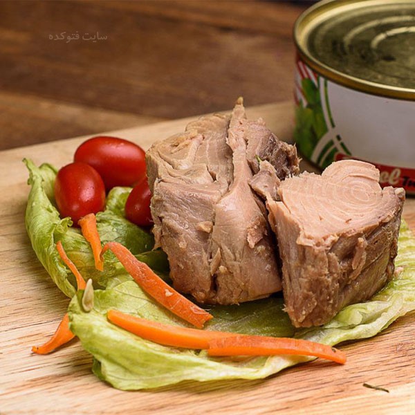 تعلل در قیمت گزاری رشد قیمت تن ماهی را انفجاری کرد