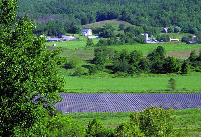 فروش زمین کشاورزی