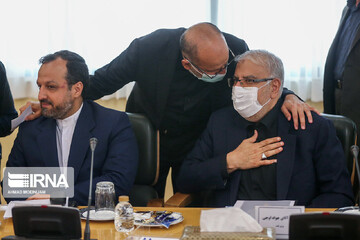 تصاویر | نشست مشترک دولت و مجلس