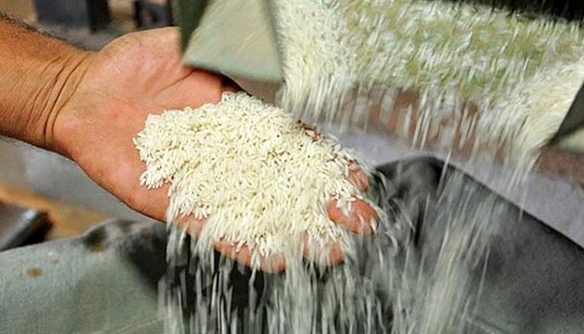 قیمت برنج تا کجا پائین می آید؟
