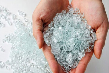 گیاهانی که در خرده شیشه رشد میکنند