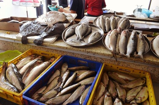 قیمت جدید ماهی در بازار/ میگو ۲۰۰ هزارتومان شد
