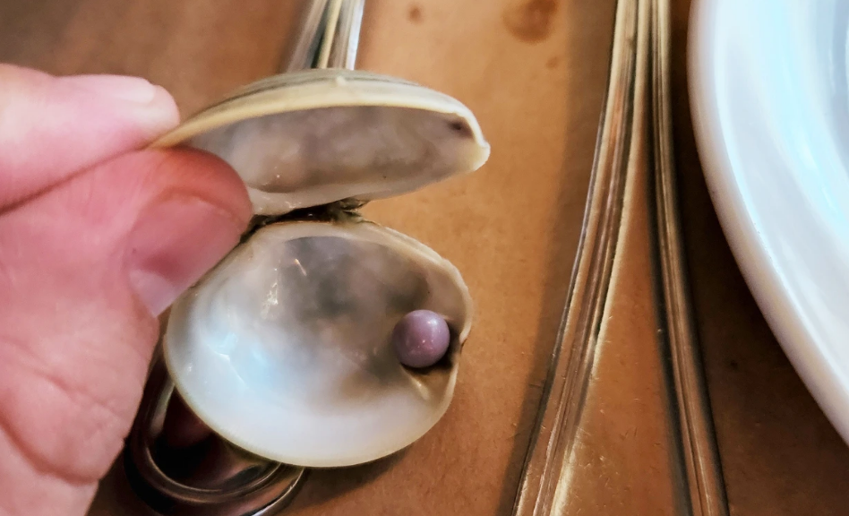 مشتری خوششانس یک مروارید بنفش کمیاب در غذای خود پیدا کرد/ تصاویر