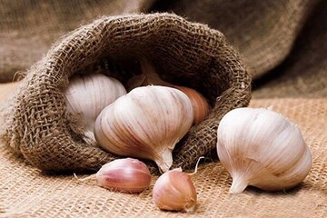 اینفوگرافیک | خواص شگفت‌انگیز سیر / روزی چند حبه سیر می‌توان خورد؟