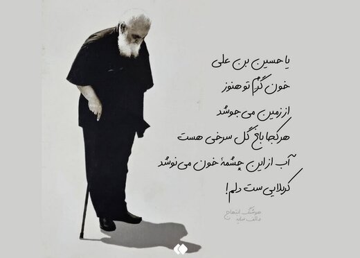 روزنامه اصولگرا: پدربزرگ ابتهاج بهایی بود؛ مادرش به شدت مذهبی؛ خودش توده ای؛ و این اواخر مخالف با اپوزیسیون!