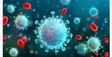 آخرین وضعیت کرونا در کشور/ قربانی شدن ۴۴ بیمار دیگر در شبانه روز گذشته آخرین وضعیت کرونا در کشور/ قربانی شدن ۴۴ بیمار دیگر در شبانه روز گذشته