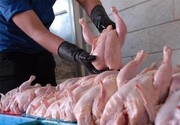توزیع ۴ تن مرغ منجمد فاسد در شهرستان بافق