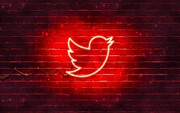 پرنده‌ آبی در وضعیت قرمز | کاربران نگران مرگ توییتر هستند