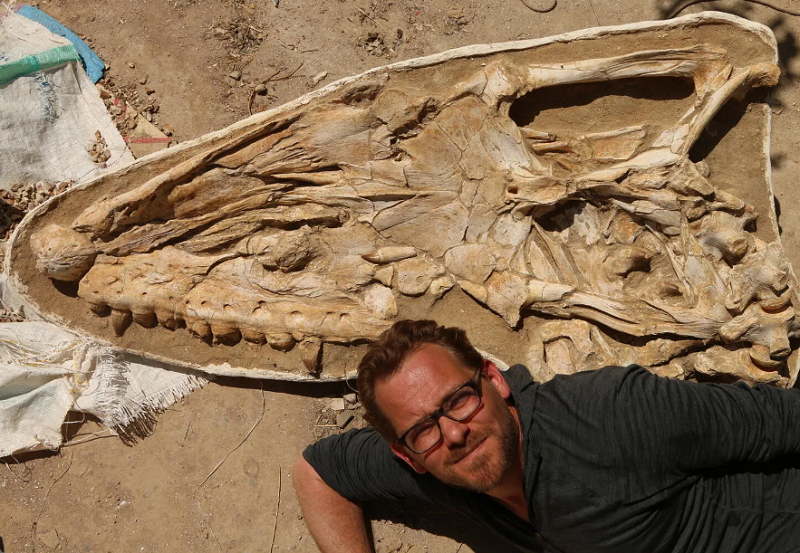 فسیل مارمولک دریایی قاتل کشف شد/ عکس