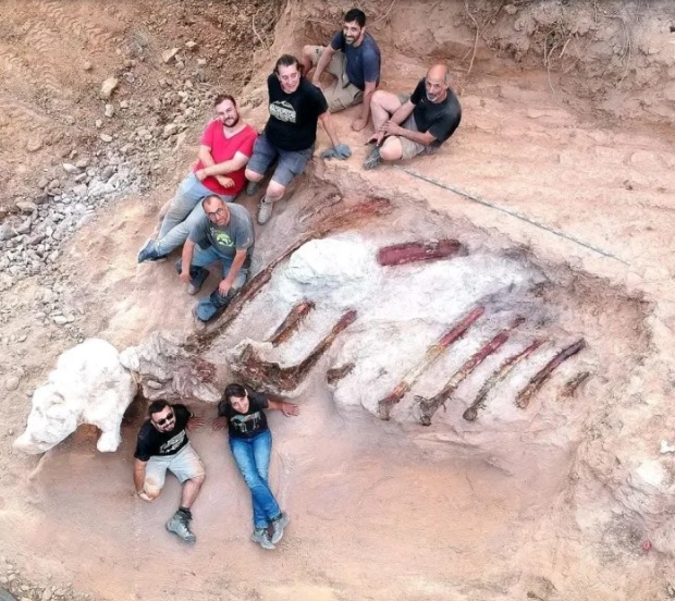 کشف حیرتانگیز استخوانهای یک دایناسور عظیمالجثه در حیاط یک ملک شخصی/ تصاویر